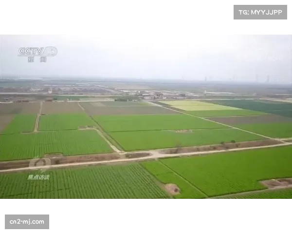 曼联新球场建设面临土地收购难题，货运站要价4亿英镑